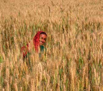Good news for India’s fertilizer industry